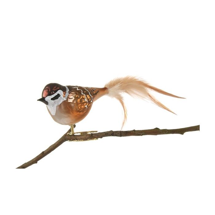 Fugl i glas med klips Skovspurv set fra den anden side