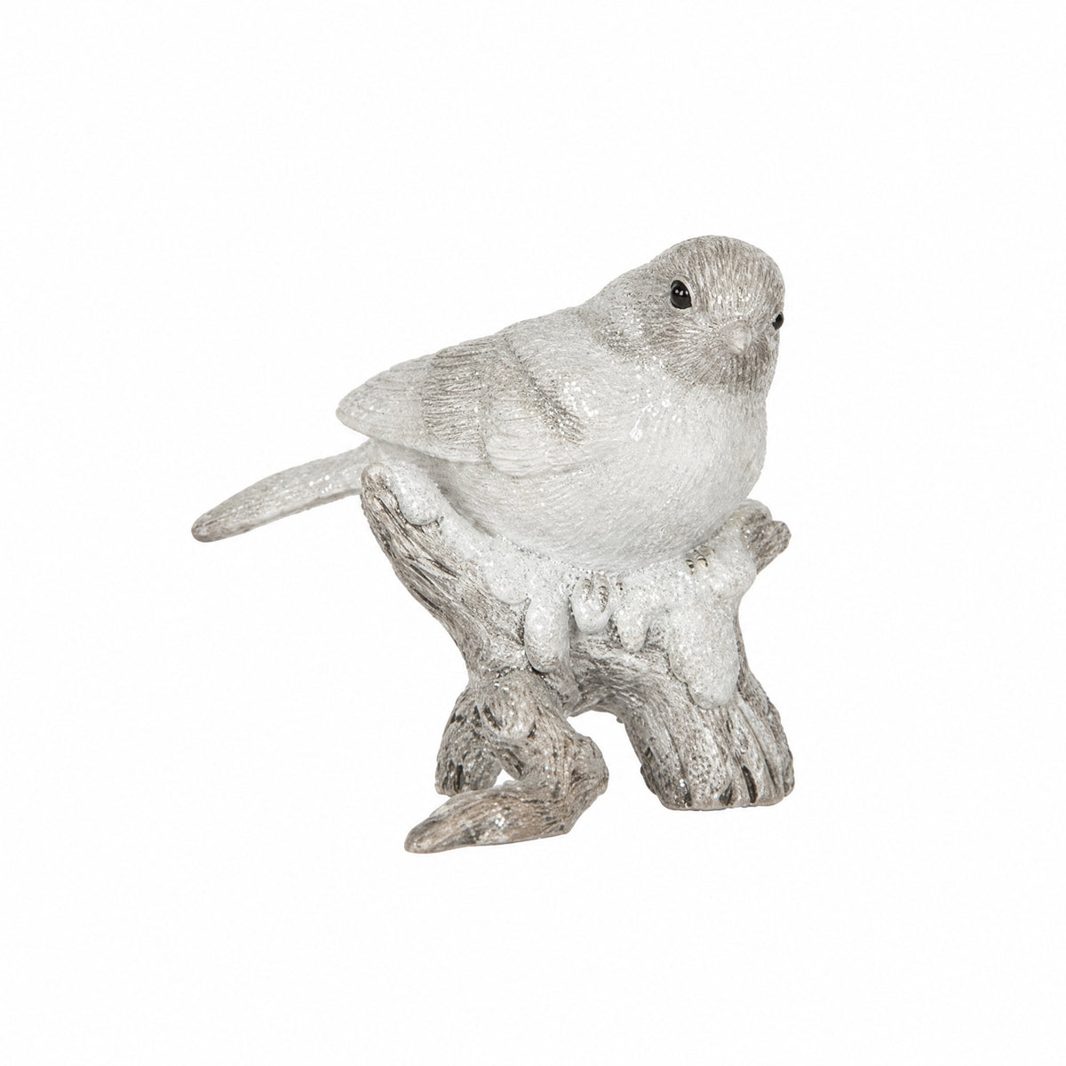 Bird on tree root