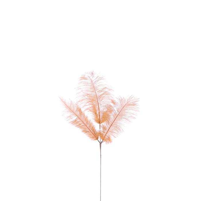 Tregrenet orange fjer