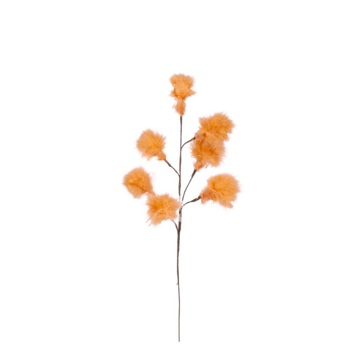 Gren med fjerduske i orange.
