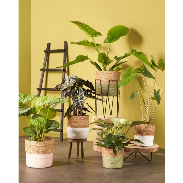 Træstige til dekoration sort