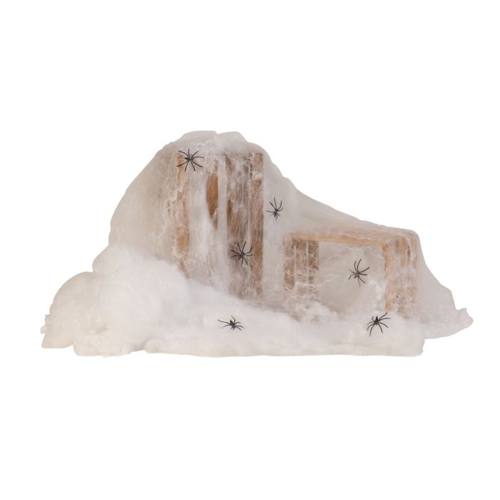 Spindelvæv med edderkopper