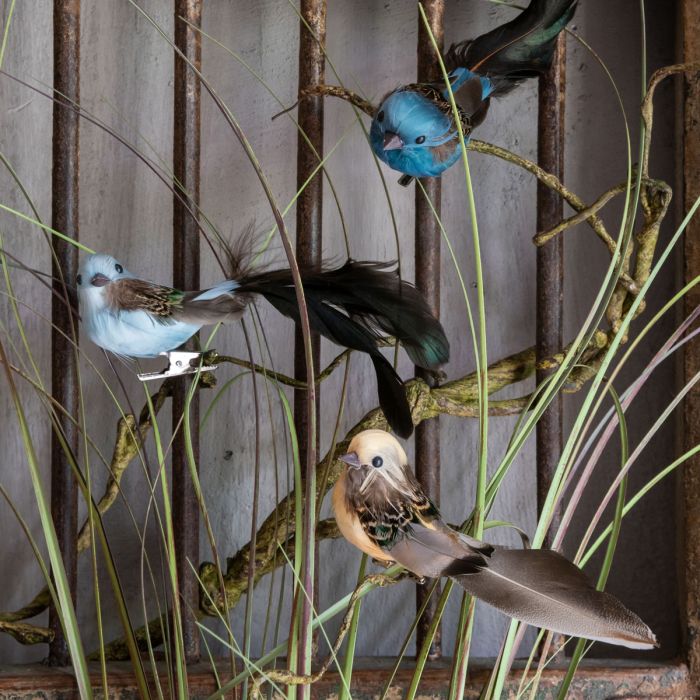 Fugl med fjerhale på klips 14 cm