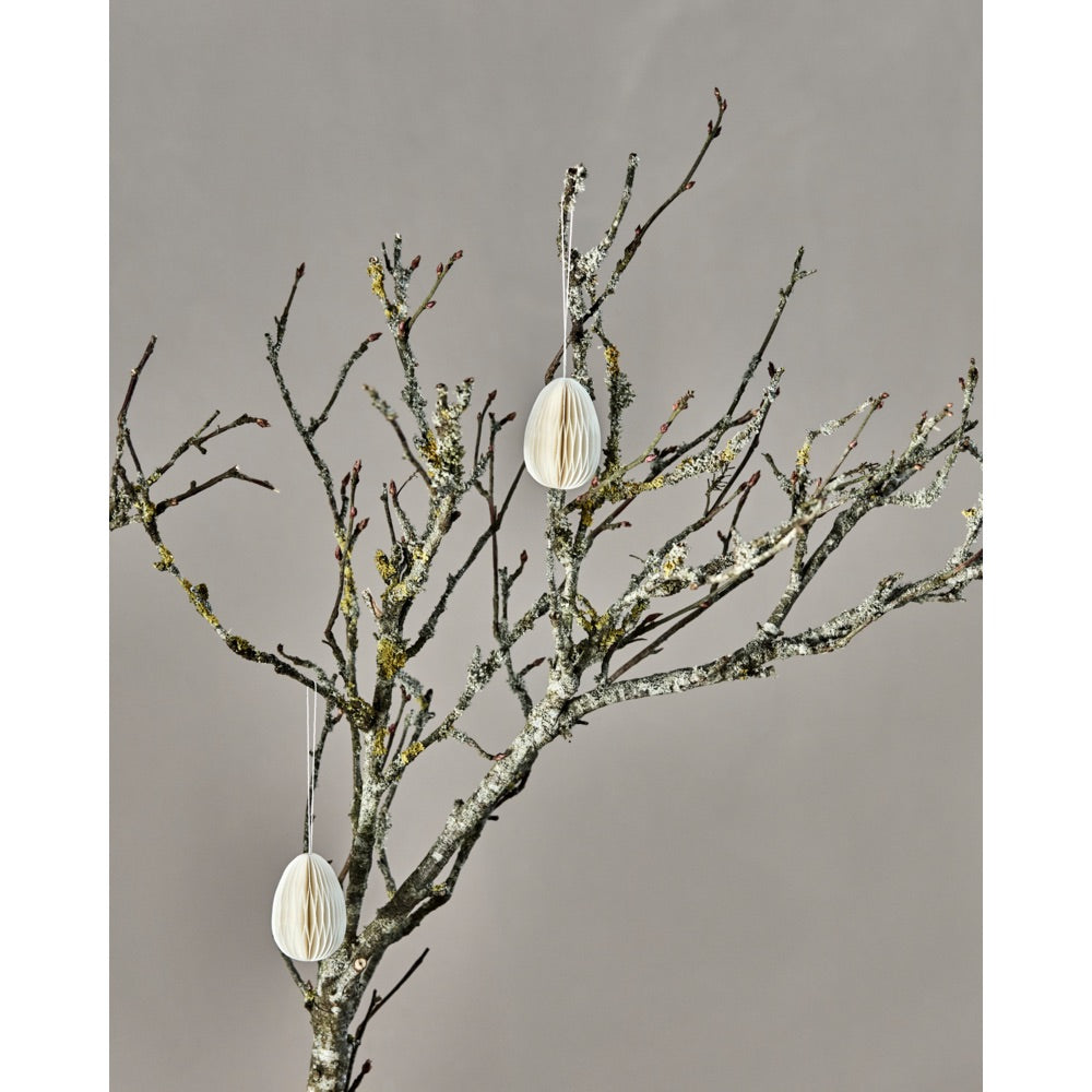 Påskeæg i honeycomb hænger på en grene med mos