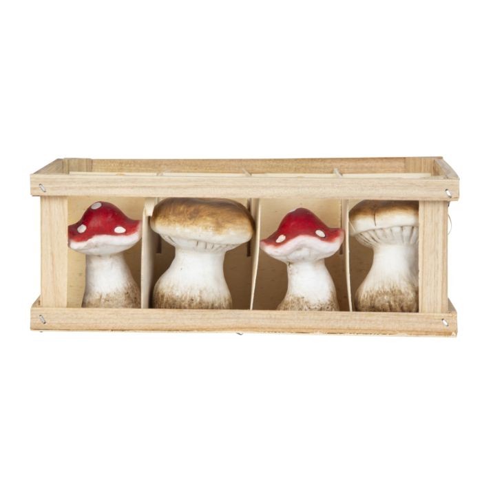 Små svampe i æske med 12 stk.