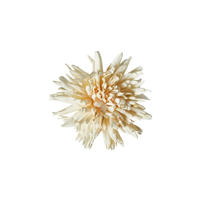 Krysantemum med klips hvid