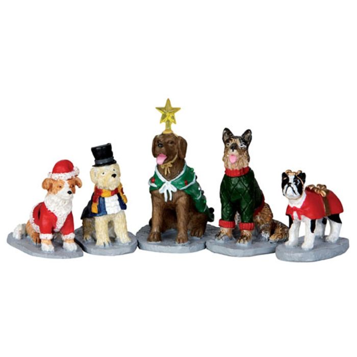 Costumed Canines Set Of 5