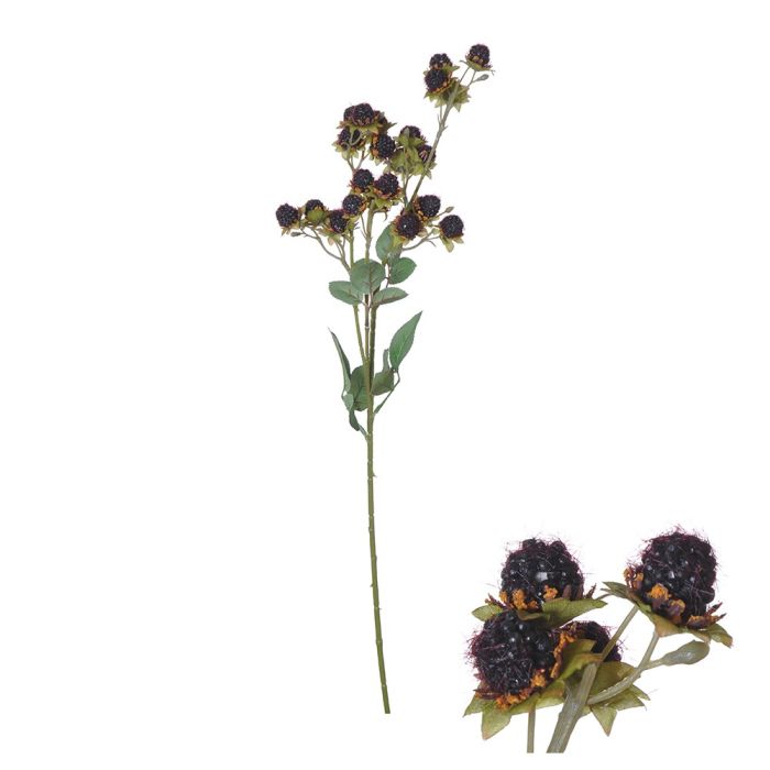 Stalk of dark purple wild strawberries