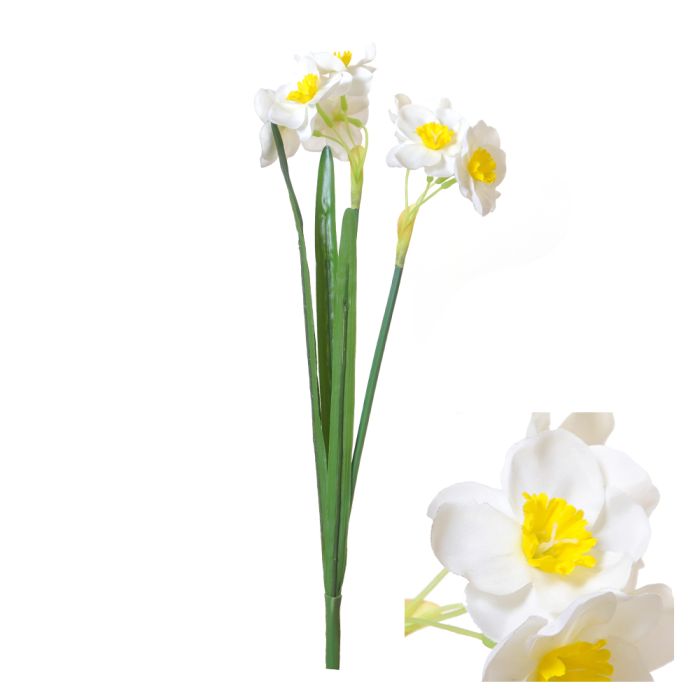 Påskeliljer 50 cm høje