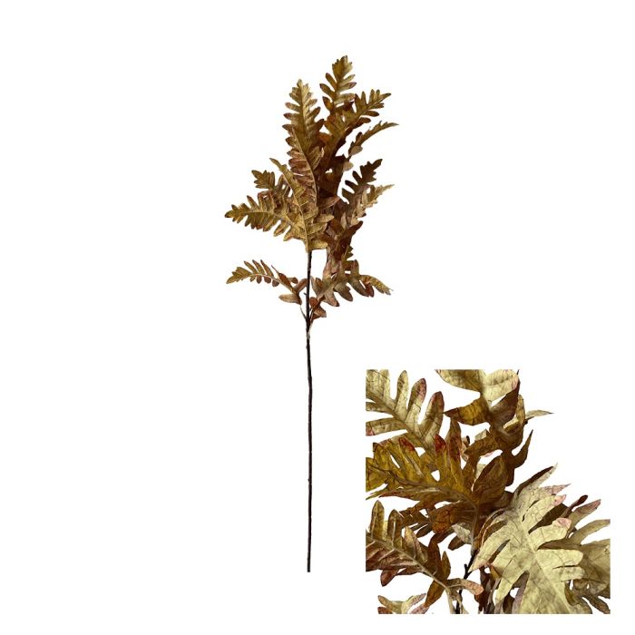 Branch with ochre-colored oak leaves