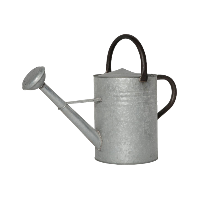 Vandkande med spreder 11 l zink