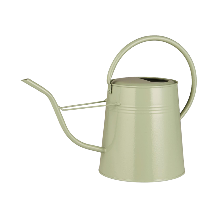 Lysegrøn vandkande
