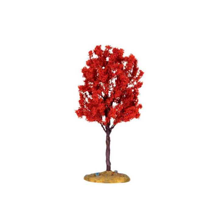 Baldcypress Tree Medium