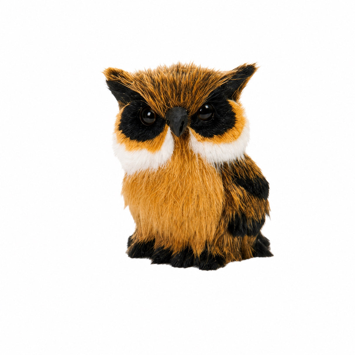 Forest animal
