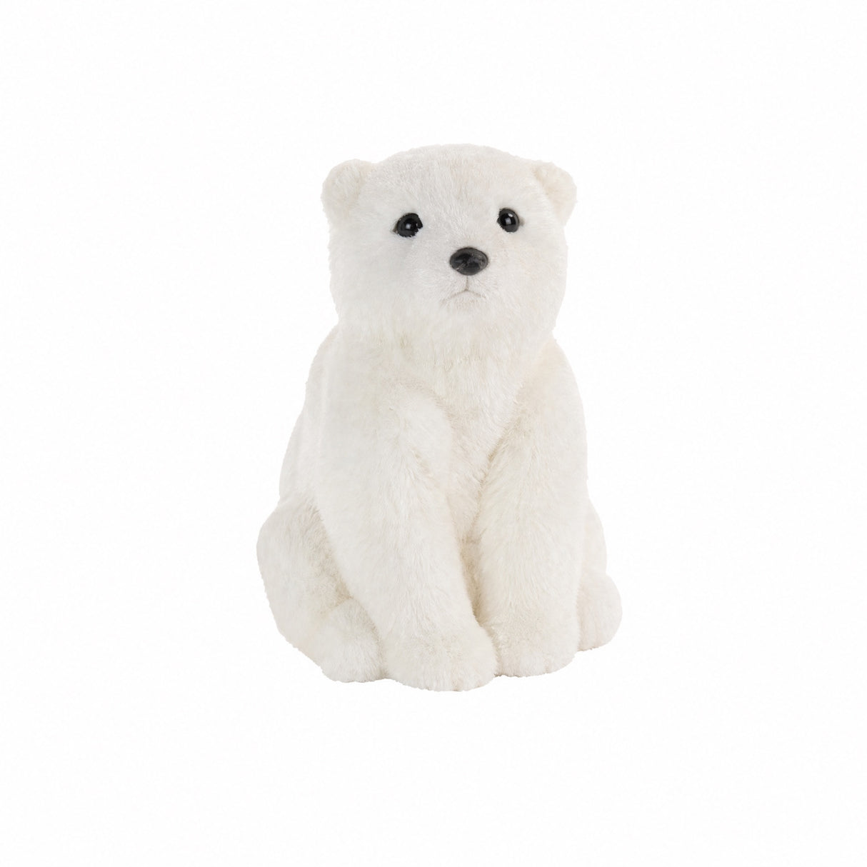 Polar bear