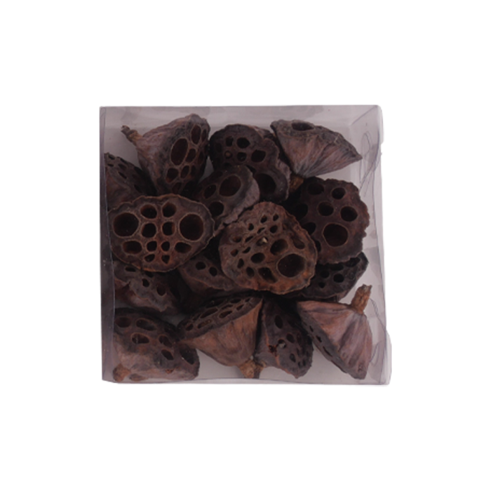 Lotusskaller til dekorationsbrug