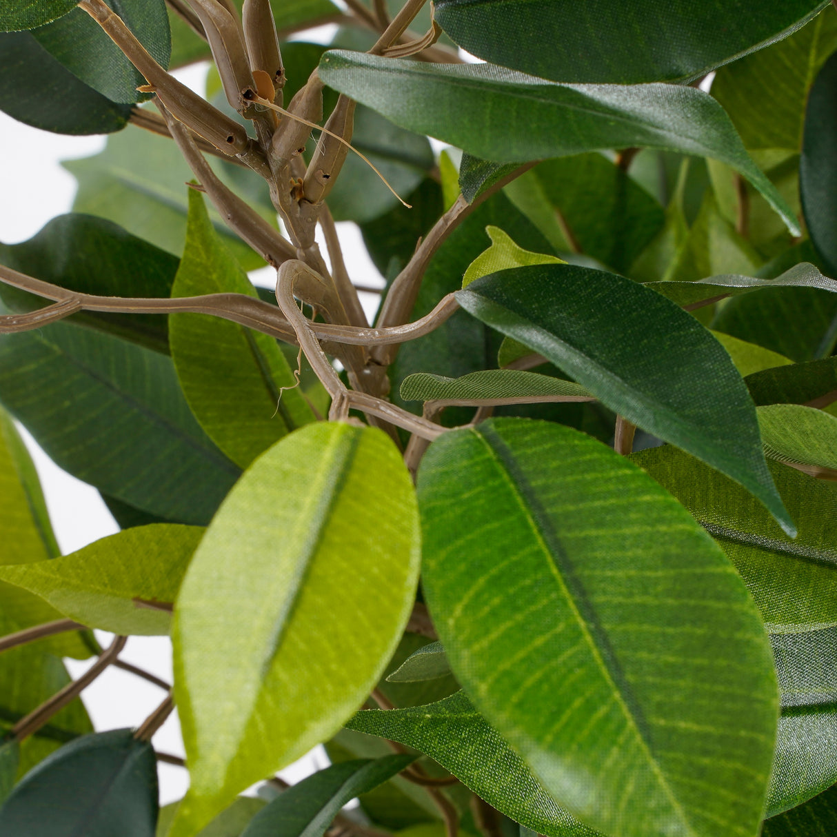 Bladene på Ficus Natasja plante kunstig fra Mica Decorations