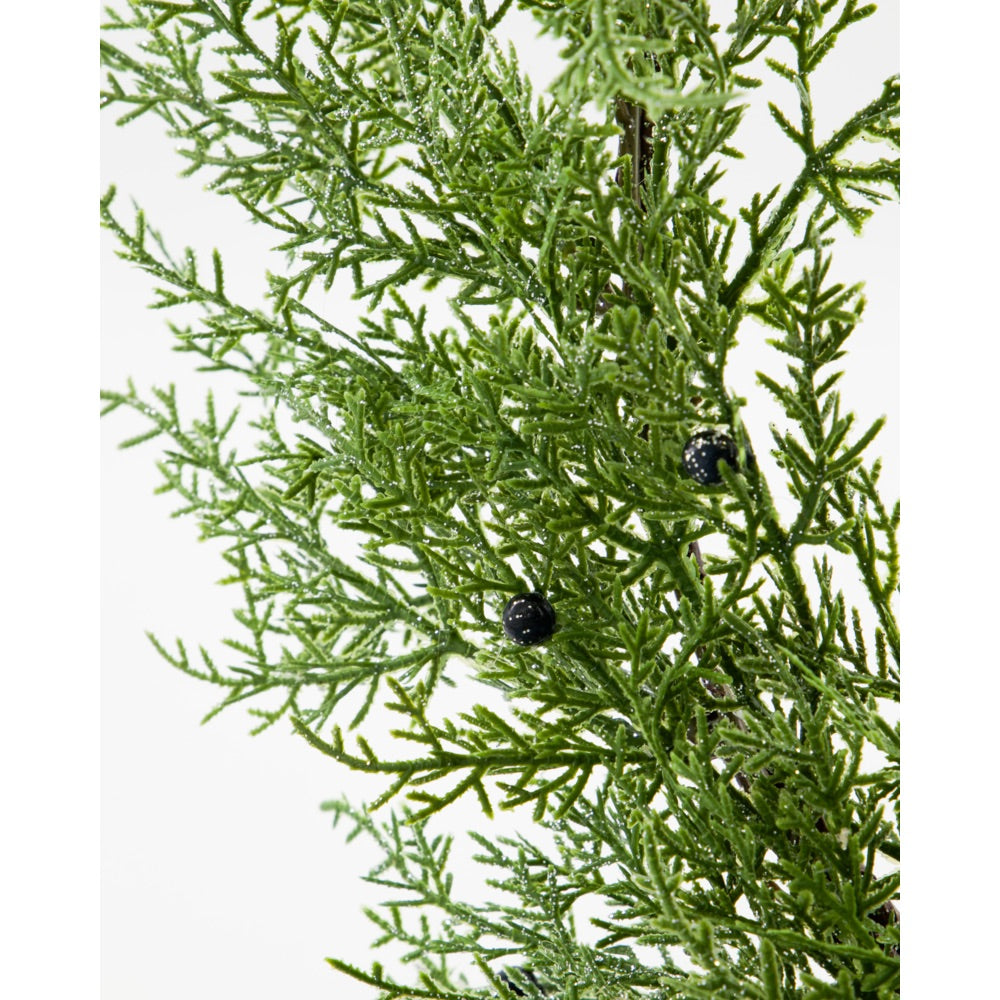 Close-up of wreath branches with dark berries from House Doctor