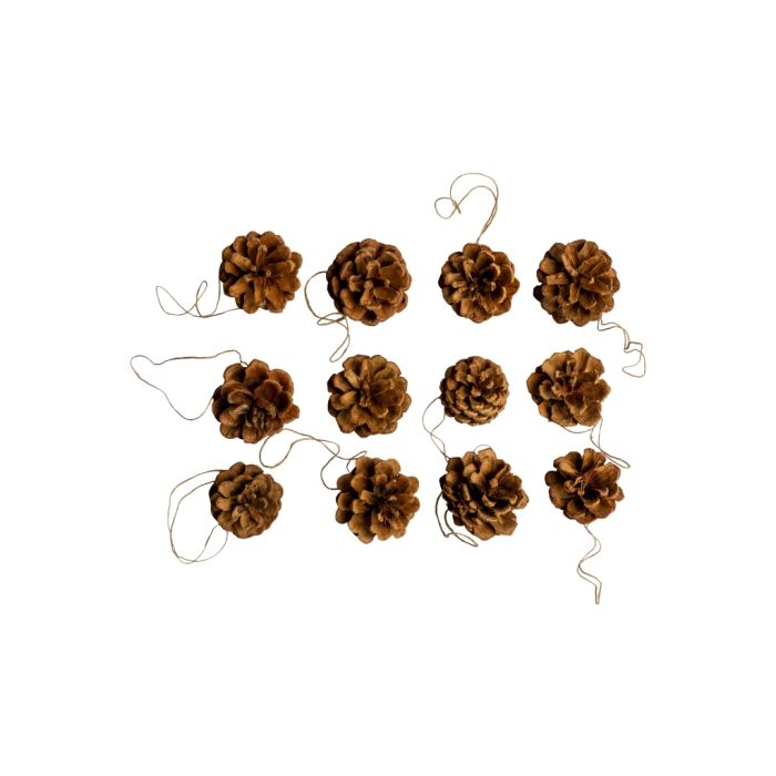 Pack of 12 brown pine cones with string