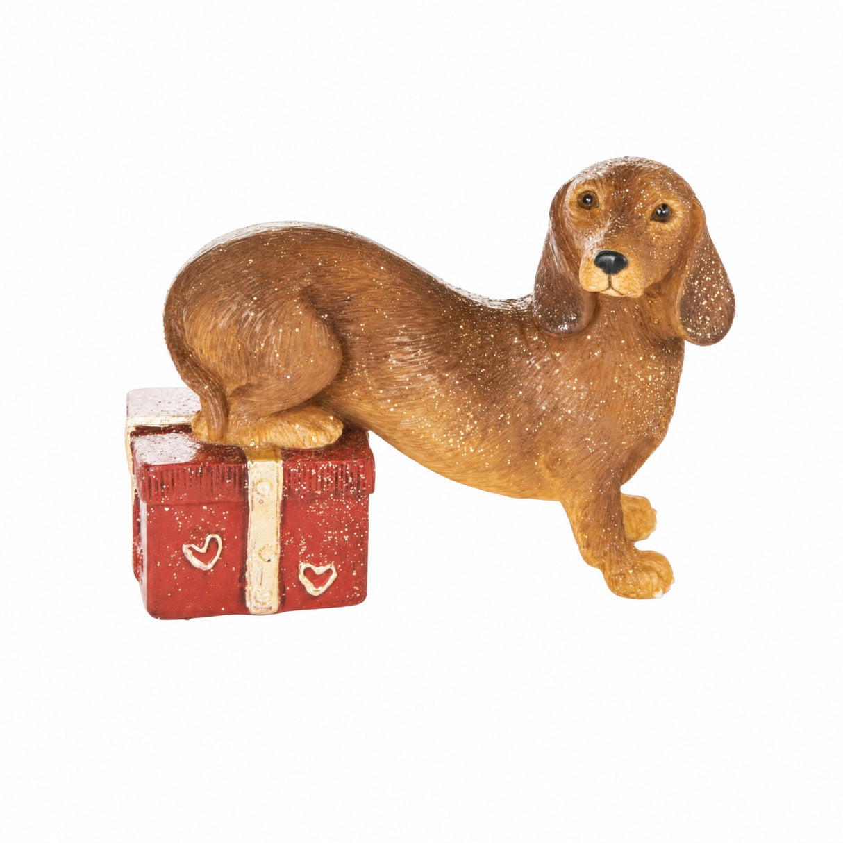 Dog or cat with gift