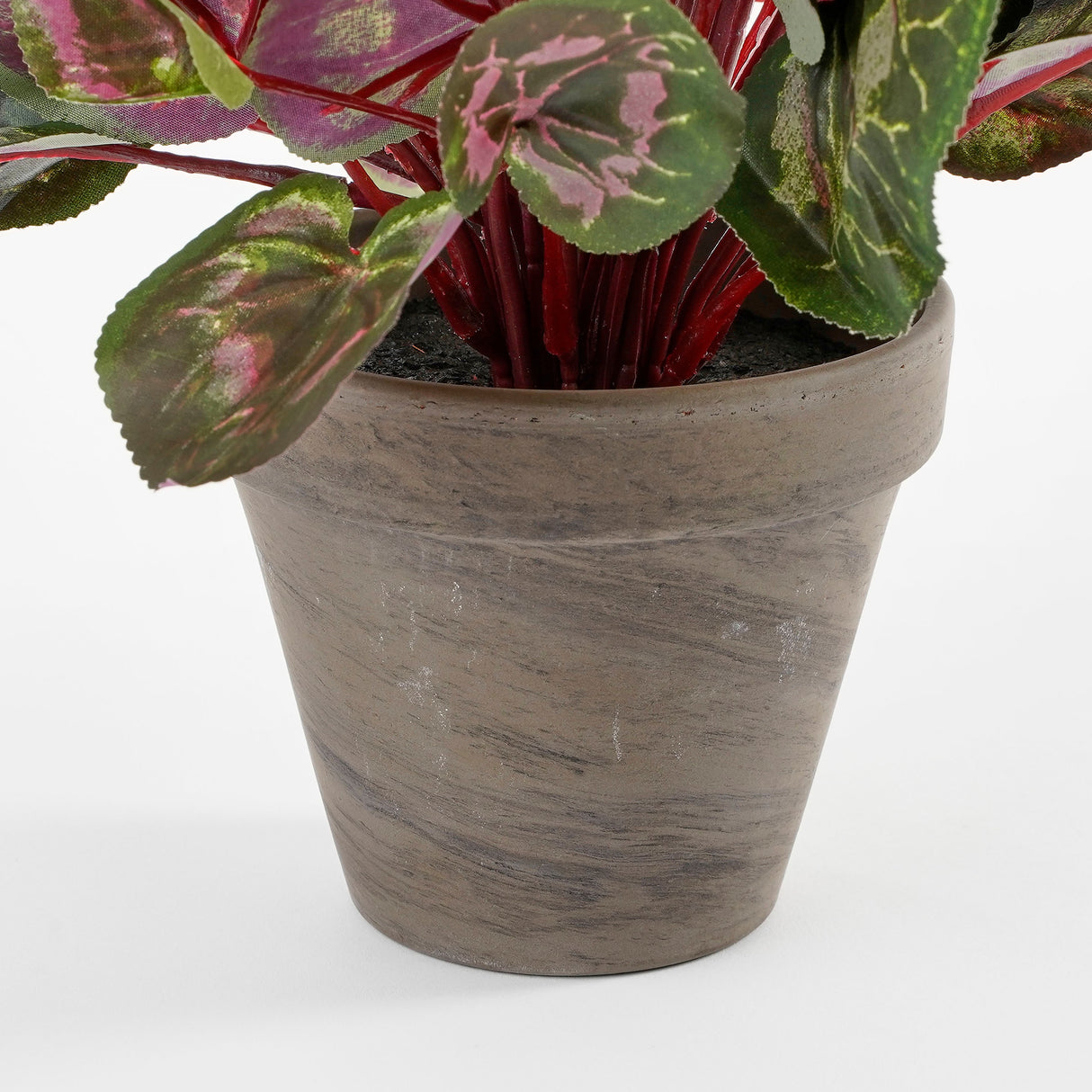 Det nederste af bladene på en kunstig alpeviol i grå lerkrukke
