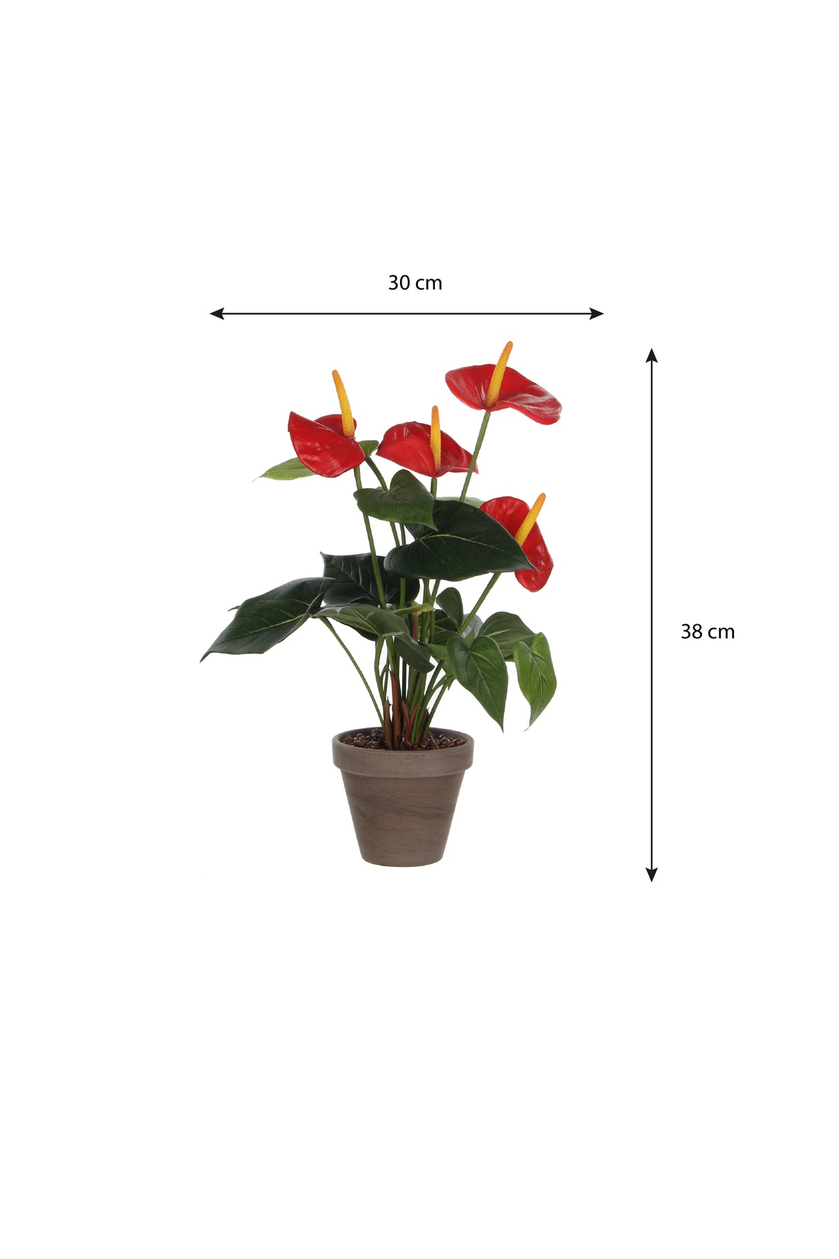Kunstig flamingoblomst med målangivelser på