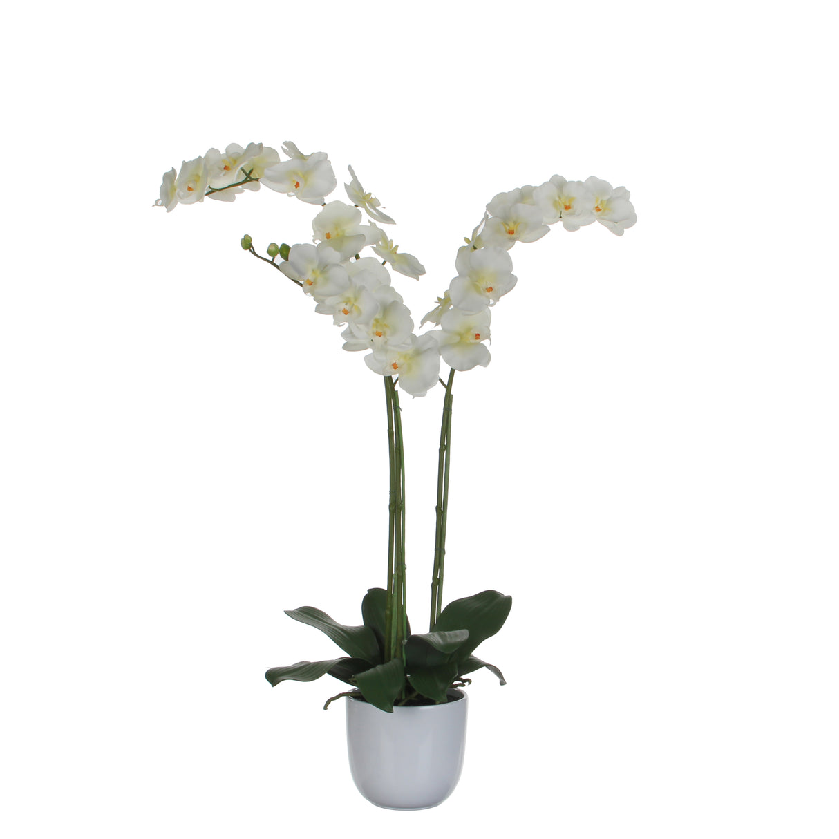 Kunstig Phalaenopsis orkidé hvid 100 cm høj i skjuler
