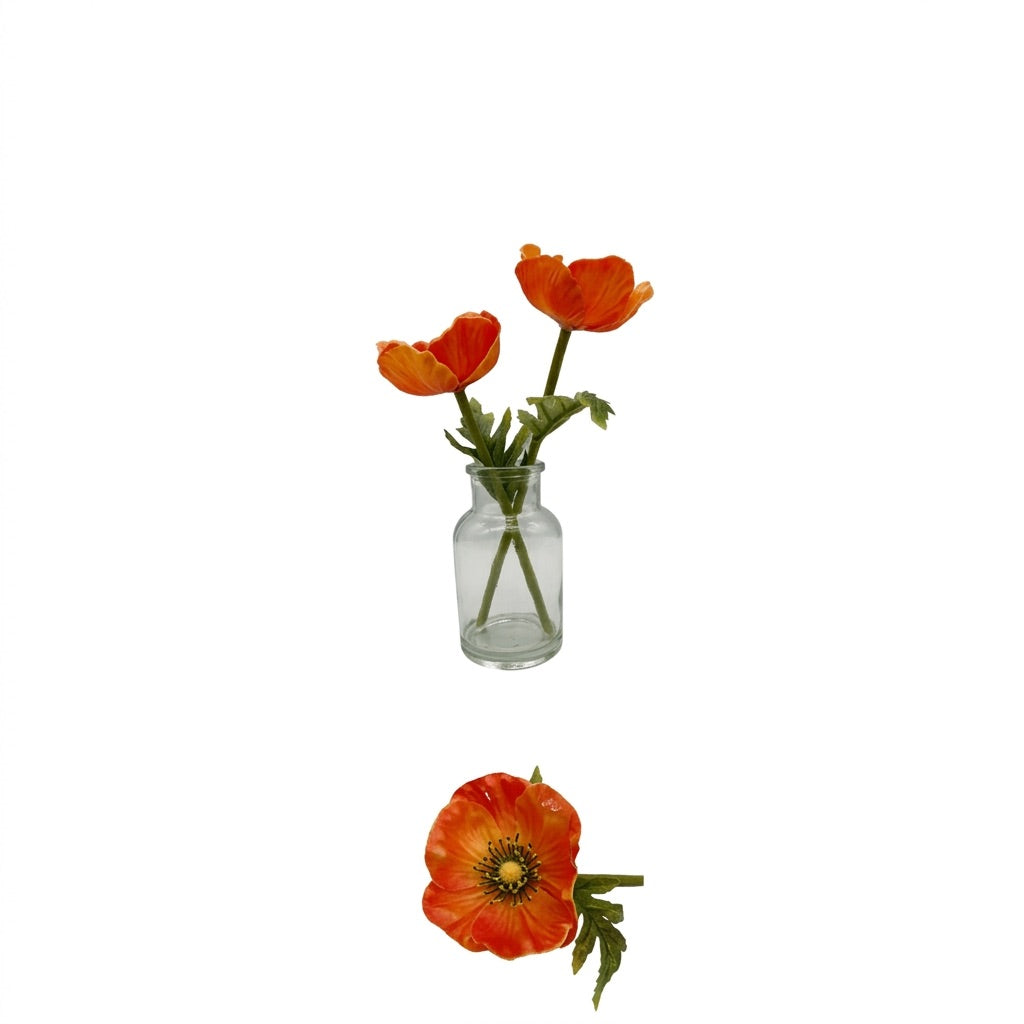 Poppies in a glass vase