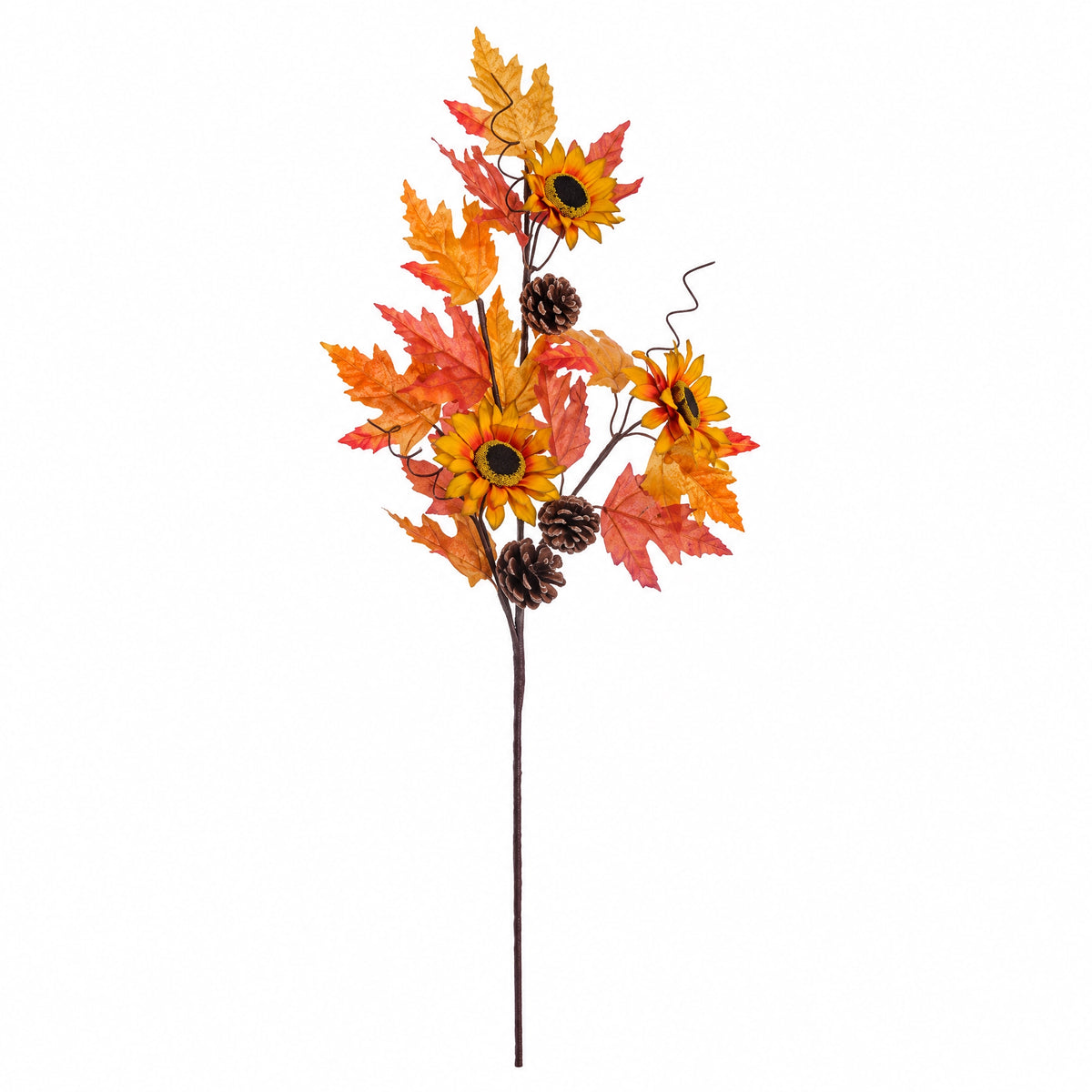 Autumn branch with sunflowers and pine cones