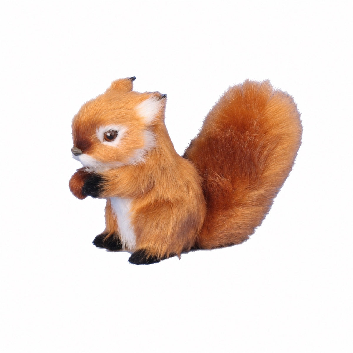 Squirrel with soft tail