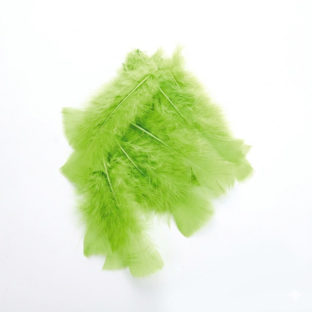 Coloured feathers