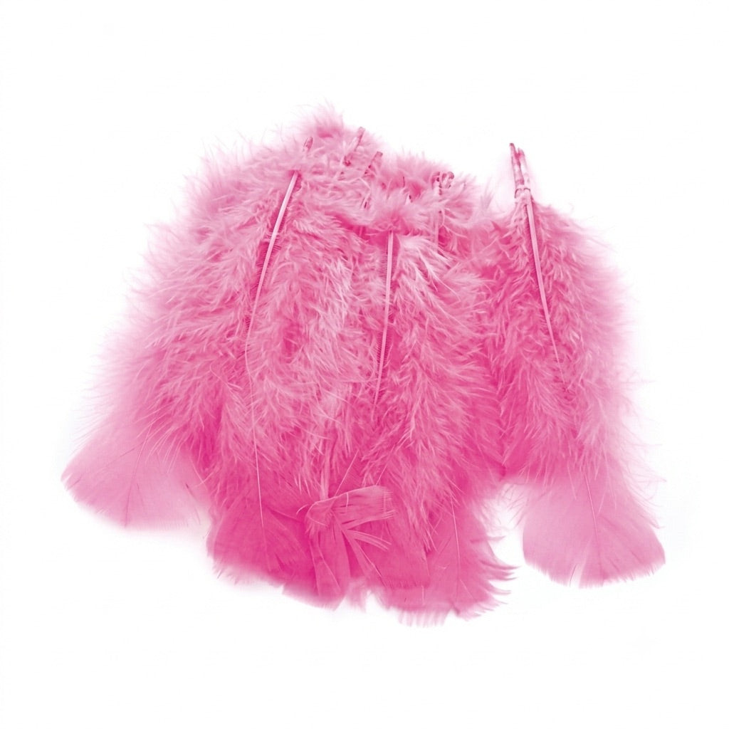 Coloured feathers