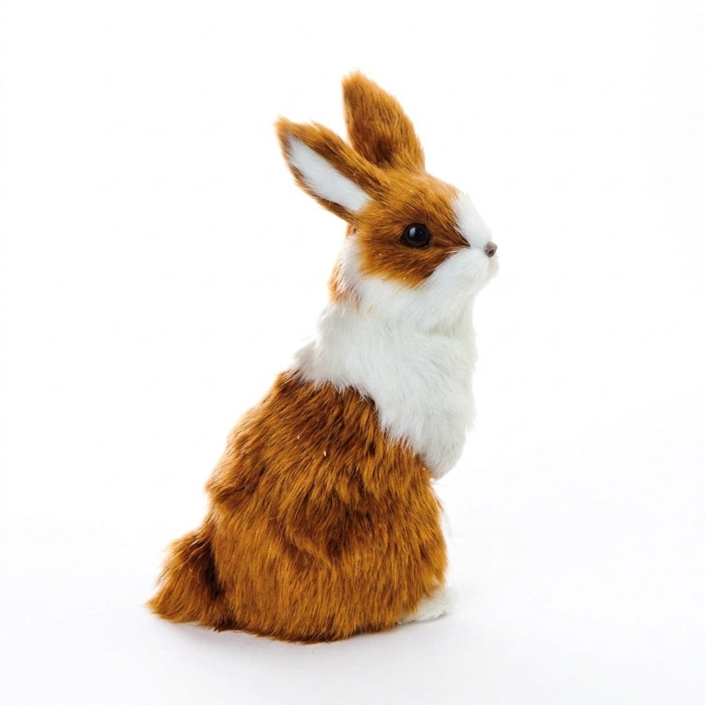 Brown and white bunny