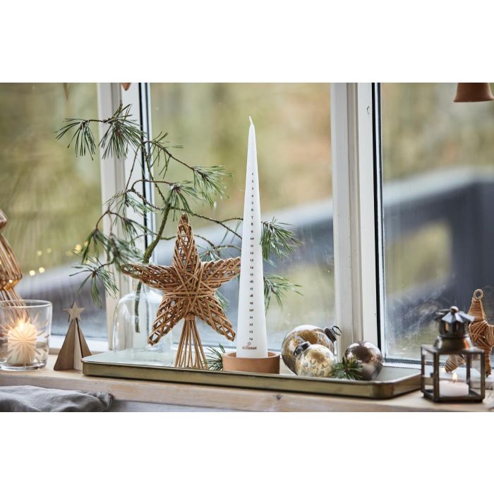 Ib Laursen Topstjerne Cane