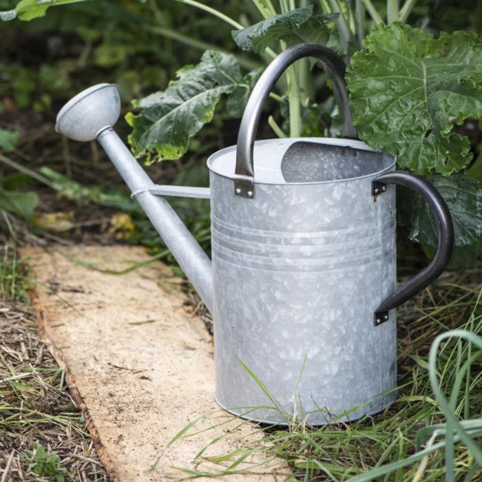 Watering can with spreader 11 l zinc