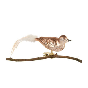 Fugl i glas med klips Sangdrossel