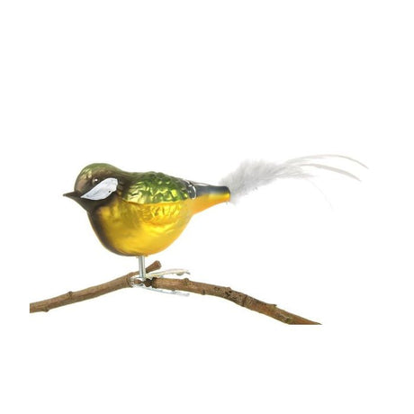 Musvit Fugl i glas med klips set fra den anden side af