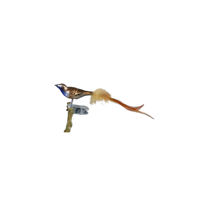 Bird in glass with clip Bluethroat