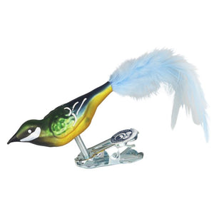 Great tit