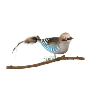 Bird in glass with clip Forest damage