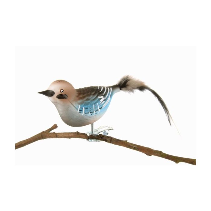 Skovskade fugl i glas med klips set fra den anden side af