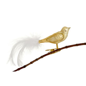 Bird with clip