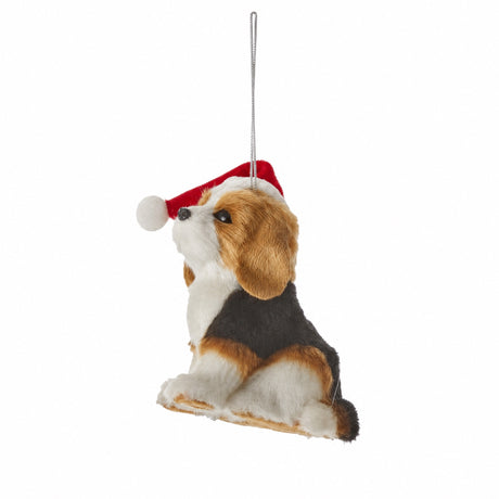 Christmas dog