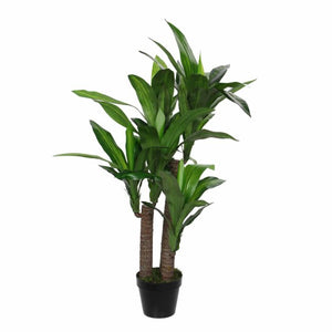 Dracaena palme 110 cm høj