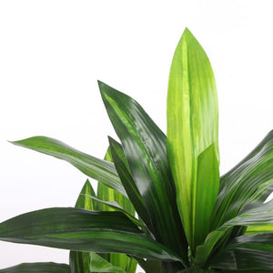 Dracaena palme 110 cm høj