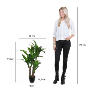 Dracaena palme 110 cm høj
