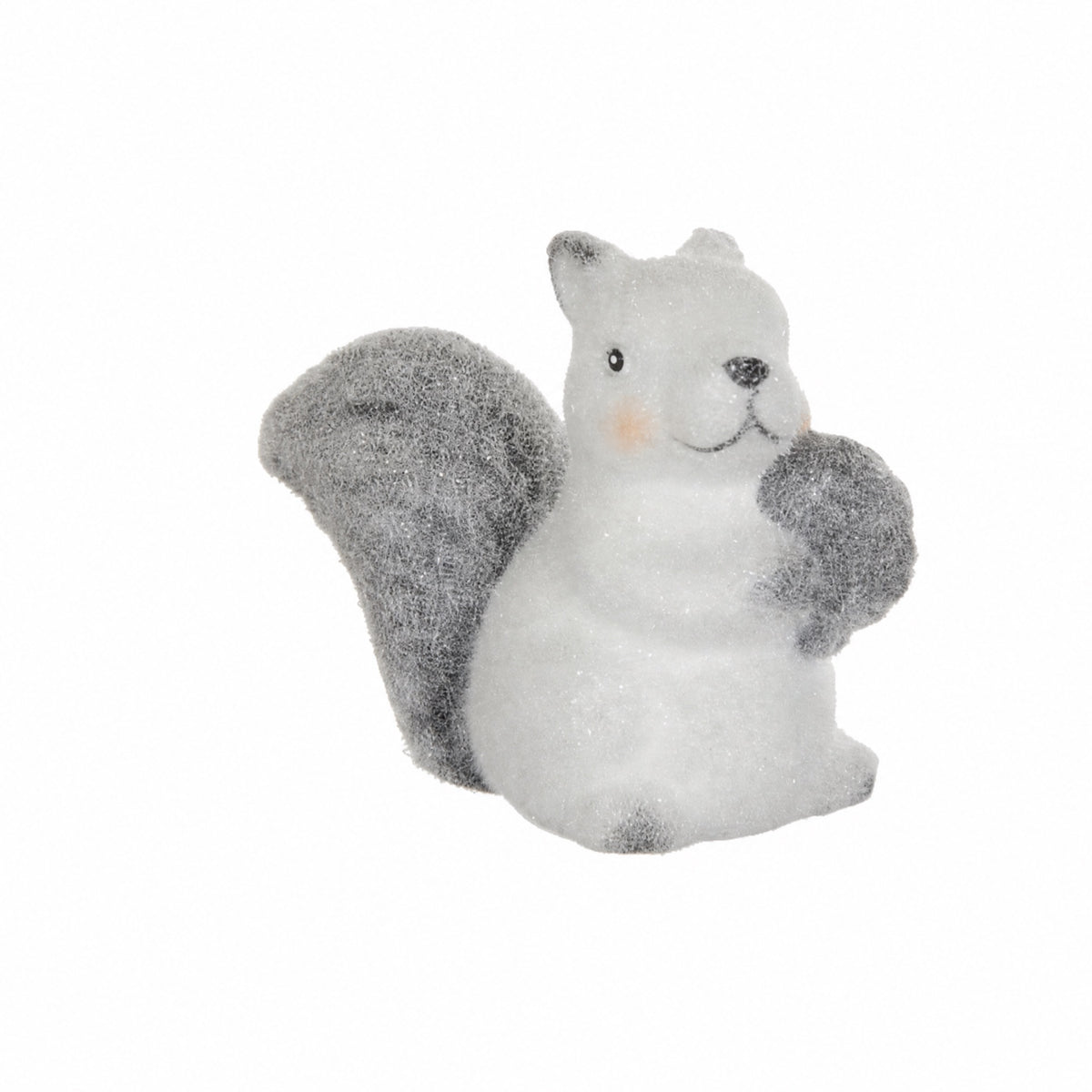 White squirrel