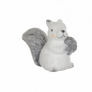 White squirrel