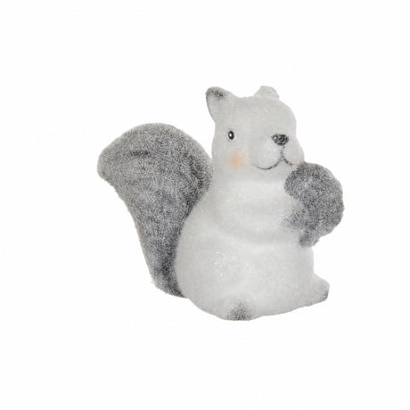 White squirrel