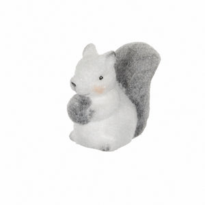 White squirrel